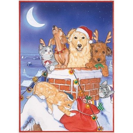 PIPSQUEAK PRODUCTIONS Pipsqueak Productions C492 Mix Dog With Cat Holiday Boxed Cards C492